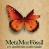 MetaMorFóssil - Em Ambiente Controlado