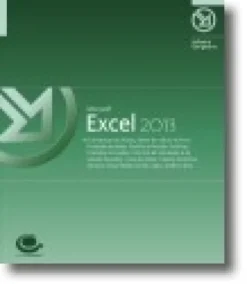 Microsoft Excel 2013