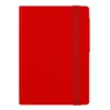 12-MONTH DIARY - 2025 - SMALL DAILY DIARY - RADIANT RED