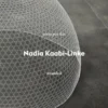 Nadia Kaabi Linke Catálogo Exposição