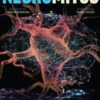 Neuromitos