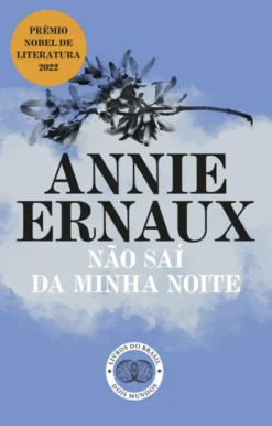 Não Saí da Minha Noite