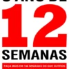 O Ano de 12 Semanas