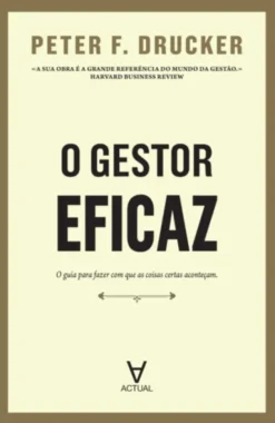 O Gestor Eficaz