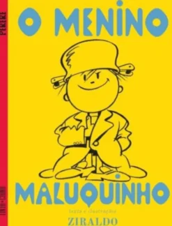 O Menino Maluquinho