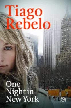 One Night in New York