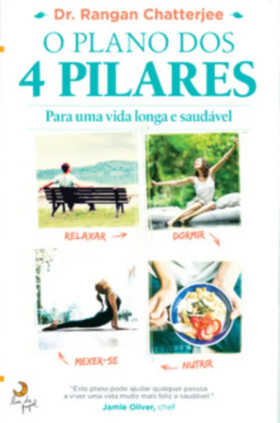 O Plano dos 4 Pilares