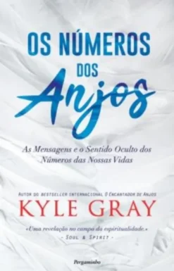 Os Números dos Anjos