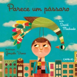 Parece um Pássaro