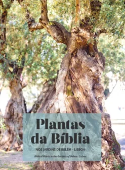 Plantas da Bíblia nos Jardins de Belém - Lisboa - Biblical Plants in the Garden of Belem - Lisbon