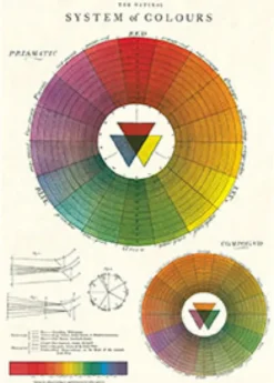 Poster Cavallini 50x70cm Color Wheel