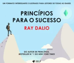 Princípios para o Sucesso