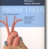 Prometheus Atlas de Anatomia - Pescoço e Órgãos Internos - 2º Volume