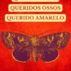 Querido Deus. Queridos Ossos. Querido Amarelo.