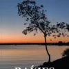 Raízes - Poemas