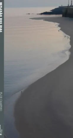 Reflexão dos Dias