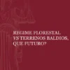 Regime Florestal vs Terrenos Baldios, Que Futuro?