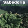 Sabedoria: saber viver ao pé de um vulcão