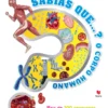 Sabias Que…? O Corpo Humano