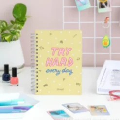 Small Notebook - Try Hard Every Day