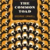 Some Thoughts on the Common Toad