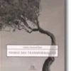 Teoria das Transformações