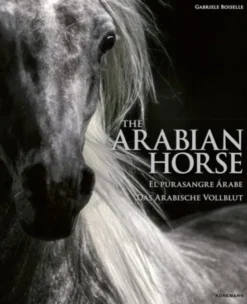 The Arabian Horse