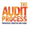 The Audit Process
