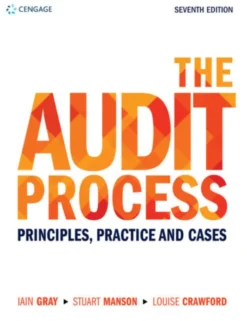 The Audit Process
