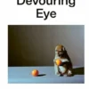 The Devouring Eye - Photography and the Mouth