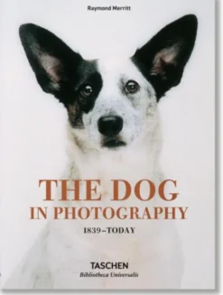 The Dog in Photography: 1839-Today