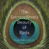 The Extraordinary Beauty of Birds