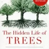 The Hidden Life Of Trees