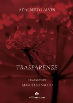 Trasparenze