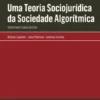 Uma Teoria Sociojurídica da Sociedade Algorítmica