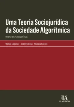 Uma Teoria Sociojurídica da Sociedade Algorítmica