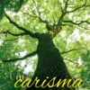 Um Carisma no Tempo - O Opus Dei na Vida da Igreja