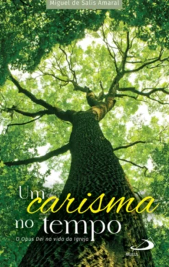 Um Carisma no Tempo - O Opus Dei na Vida da Igreja