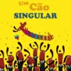 Um Cão Singular - Um Cão Diferente à Procura do seu Lugar no Mundo