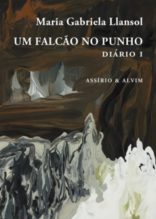 Um Falcão no Punho