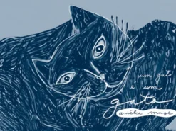Um Gato É Um Gato