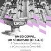 Um Só Corpo, Um Só Batismo (Ef 4, 4-5) - A Diversidade dos Carismas e a Construção da Comunhão