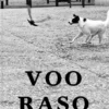 Voo Raso
