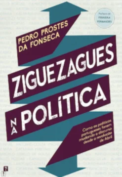 Ziguezagues na Política